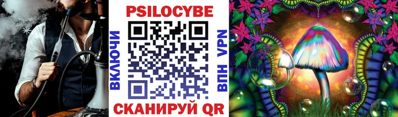 Галлюциногенные грибы Psilocybine cubensis  Александровское 